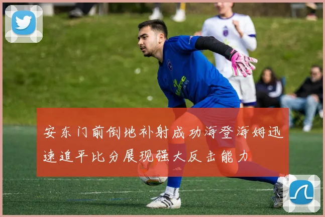 安东门前倒地补射成功海登海姆迅速追平比分展现强大反击能力