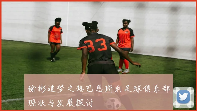徐彬追梦之路巴恩斯利足球俱乐部现状与发展探讨