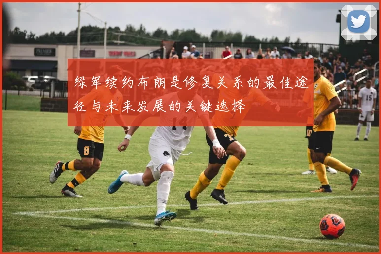 绿军续约布朗是修复关系的最佳途径与未来发展的关键选择